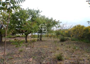 Foto 12 - Terreno edificabile via Archimede
 
39, Pedara - foto 12