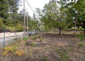 Foto 13 - Terreno edificabile via Archimede
 
39, Pedara - foto 13