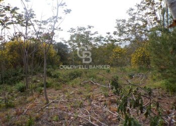 Foto 15 - Terreno edificabile via Archimede
 
39, Pedara - foto 15