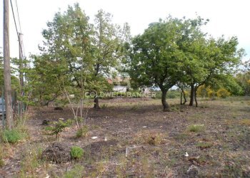 Foto 16 - Terreno edificabile via Archimede
 
39, Pedara - foto 16