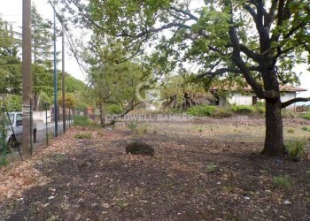 Foto 19 - Terreno edificabile via Archimede
 
39, Pedara - foto 19