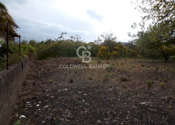 Foto 22 - Terreno edificabile via Archimede
 
39, Pedara - foto 22