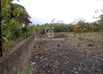 Foto 23 - Terreno edificabile via Archimede
 
39, Pedara - foto 23