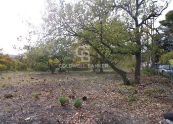 Foto 24 - Terreno edificabile via Archimede
 
39, Pedara - foto 24