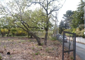 Foto 25 - Terreno edificabile via Archimede
 
39, Pedara - foto 25