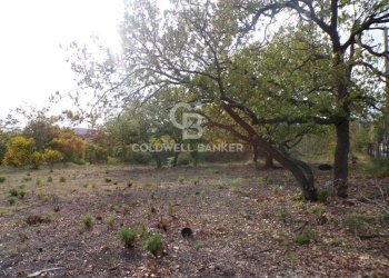 Foto 26 - Terreno edificabile via Archimede
 
39, Pedara - foto 26