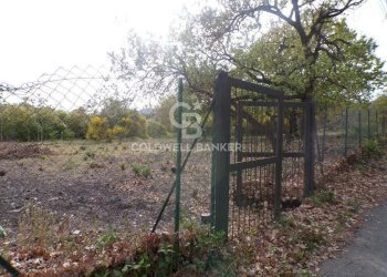 Foto 28 - Terreno edificabile via Archimede
 
39, Pedara - foto 28