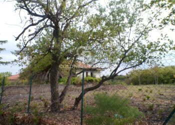 Foto 33 - Terreno edificabile via Archimede
 
39, Pedara - foto 33