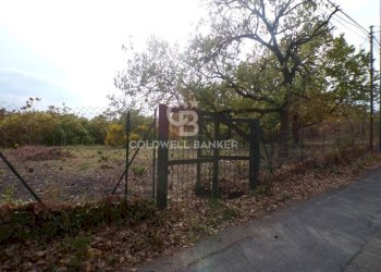 Foto 36 - Terreno edificabile via Archimede
 
39, Pedara - foto 36