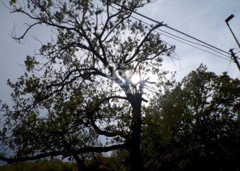 Foto 37 - Terreno edificabile via Archimede
 
39, Pedara - foto 37