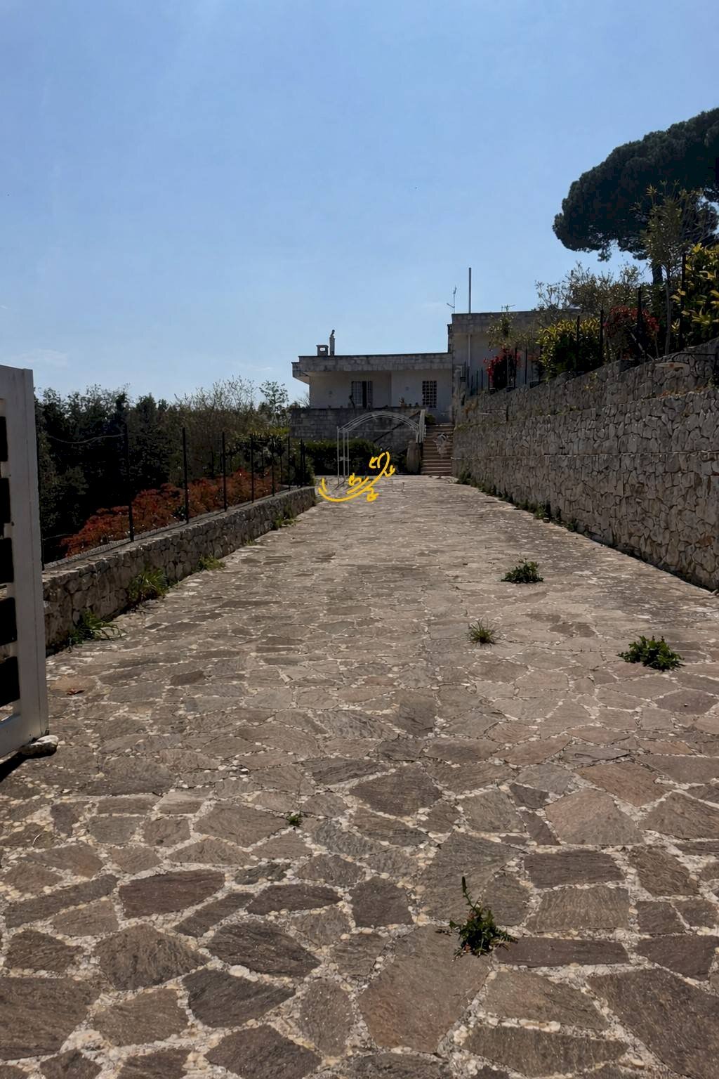 Foto 3 - Villa Contrada Monte Guarini, Fasano - foto 3