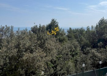 Foto 5 - Villa Contrada Monte Guarini, Fasano - photo 5