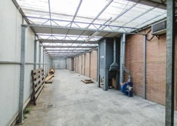 Box auto - Capannone via Caduti per la Libertà, Granarolo dell'Emilia - foto 24