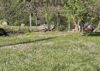 Giardino - Villa via Nuticci
 
SNC, Liberi - foto 57