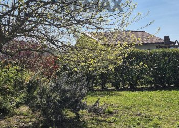 Giardino - Villa via Nuticci
 
SNC, Liberi - foto 61