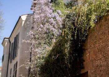 Foto 20 - Appartamento Mantova - foto 20