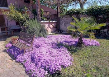 Giardino - Rustico Regione Bussonrotondo, Scalenghe - foto 32