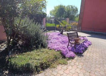 Giardino - Rustico Regione Bussonrotondo, Scalenghe - foto 33