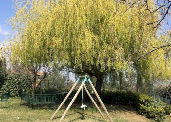 Giardino - Villa via croce
 
1, Cerisano - foto 14