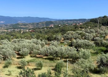 Vista delle montagne - Casa indipendente C/da Valli
 
snc, Cerisano - foto 10
