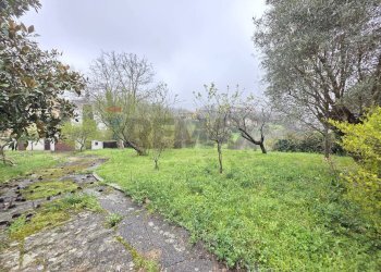 Giardino - Villa via Brunetta
 
9, Dipignano - foto 8