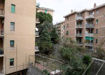 Vista - Bilocale via Bartolomeo Carrea, 3, Genova (zona Sampierdarena) - foto 17