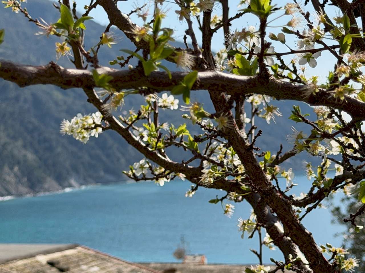 img_3601 - Trilocale via Romana, Camogli - foto 2