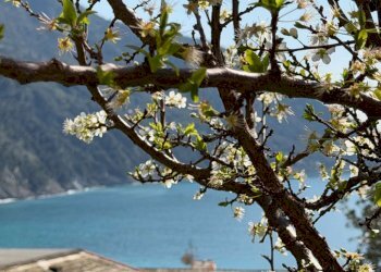 img_3601 - Trilocale via Romana, Camogli - foto 2