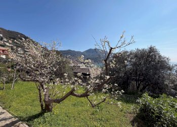 img_3600 - Trilocale via Romana, Camogli - foto 6