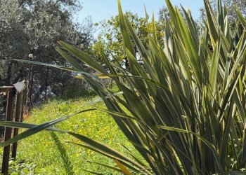 img_3603 - Trilocale via Romana, Camogli - foto 13