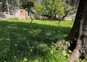 img_3606 - Trilocale via Romana, Camogli - foto 15