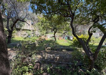 img_4324 - Attico via Romana, Camogli - foto 15