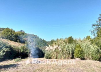 Terreno - Rustico Stradone del Pipistrello, 105, Rosignano Marittimo - foto 8