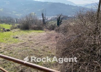 Terreno - Rustic strada Cattabiano, Langhirano - photo 25