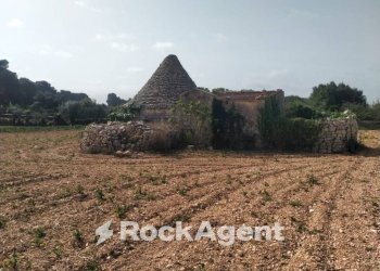 Terreno - Rustico cda Bellasora snc, Conversano - foto 6