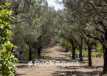 Terreno - Villa Località Zilleria, Gasperina - foto 29