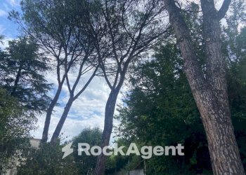 Terreno - Villa via G. Donizetti, 31, Zagarolo - foto 23