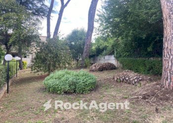 Terreno - Villa via G. Donizetti, 31, Zagarolo - foto 25