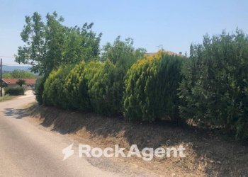 Terreno - Villa strada Provinciale 45, Moscufo - foto 28