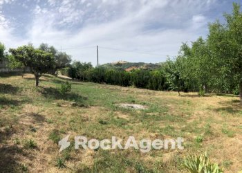 Terreno - Villa strada Provinciale 45, Moscufo - foto 39