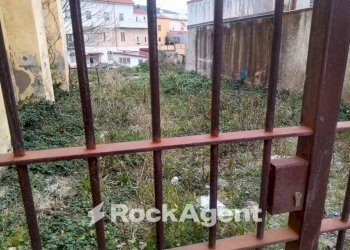 Giardino - Terreno agricolo via Ettore Vitale, Catanzaro - foto 4