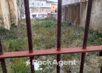 Giardino - Terreno agricolo via Ettore Vitale, Catanzaro - foto 8