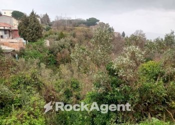 Vista - Terreno agricolo via Ettore Vitale, Catanzaro - foto 11