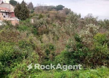 Terreno - Terreno agricolo via Ettore Vitale, Catanzaro - foto 14