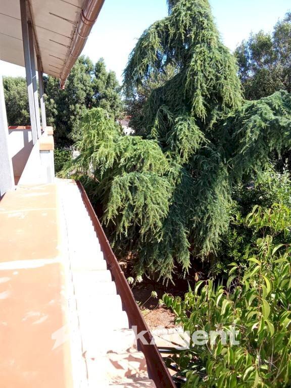 Giardino - Villa Follonica - foto 3