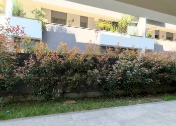 Giardino - Trilocale via Salemi, 53/A, Roma - foto 12