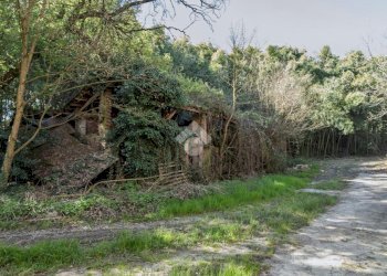 Rustico Strada della rezza, Chieri - foto 12