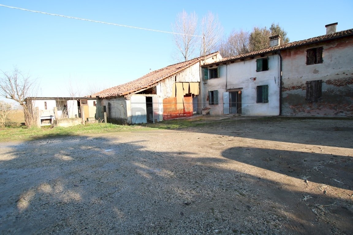 IMG_5883.JPG - Rustico Montegalda - foto 2