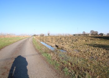 IMG_5889.JPG - Rustico Montegalda - foto 5