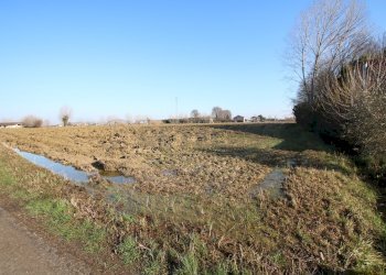 IMG_5890.JPG - Rustico Montegalda - foto 6